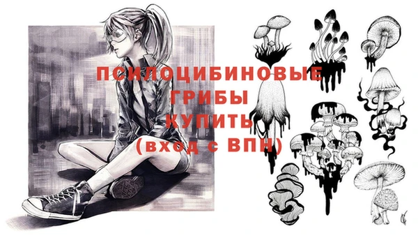 гашик Михайловка