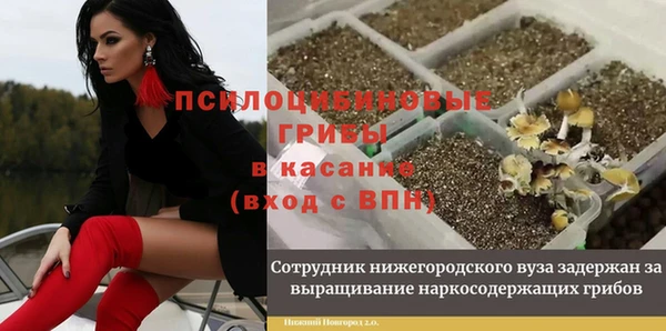 дмт Майский