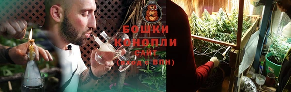 гашик Михайловка