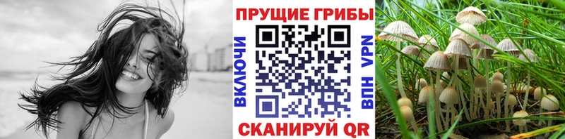 МЕГА онион  Калач  Галлюциногенные грибы GOLDEN TEACHER  как найти  
